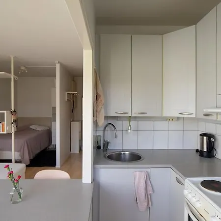 Cozy Minimalistic Studio In